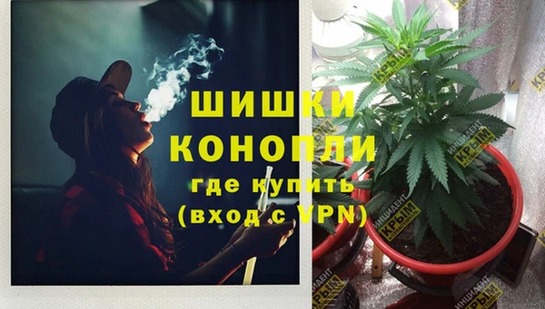 первитин Богданович