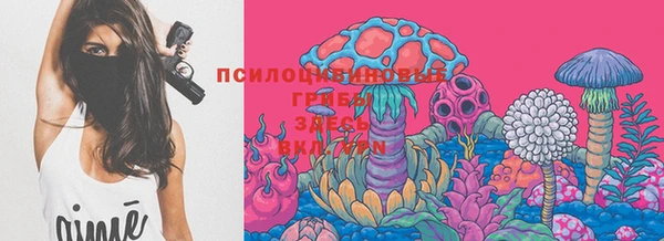 первитин Богданович