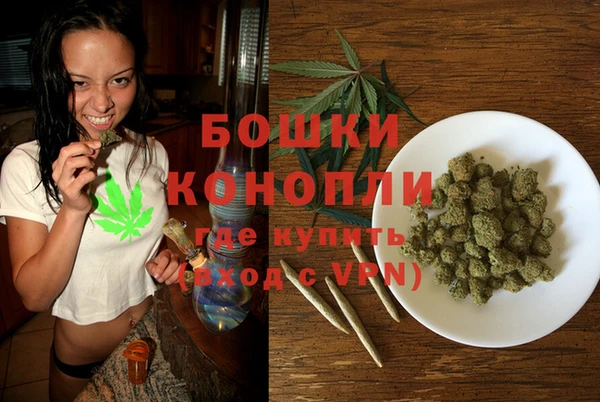 первитин Богданович