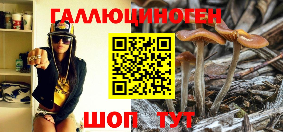 Среднеуральск  Галлюциногенные грибы Psilocybe  Псилоцибиновые грибы Psilocybe  Вход с VPN 